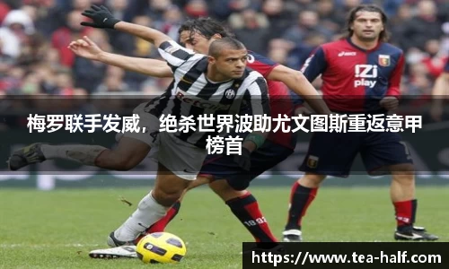 YY易游体育