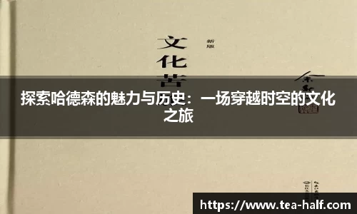 YY体育