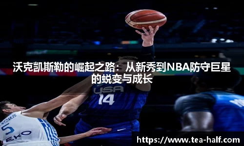 米乐m6