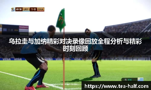 YY易游体育
