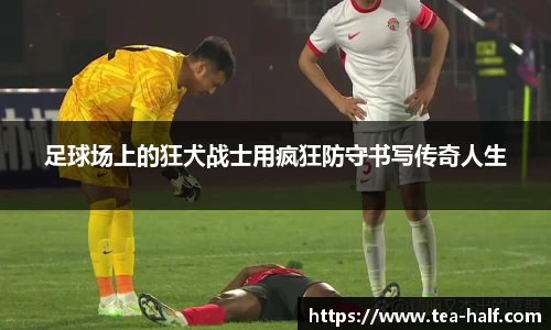 米乐M6官网