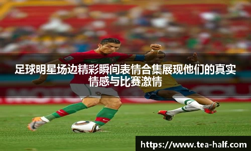 米乐m6